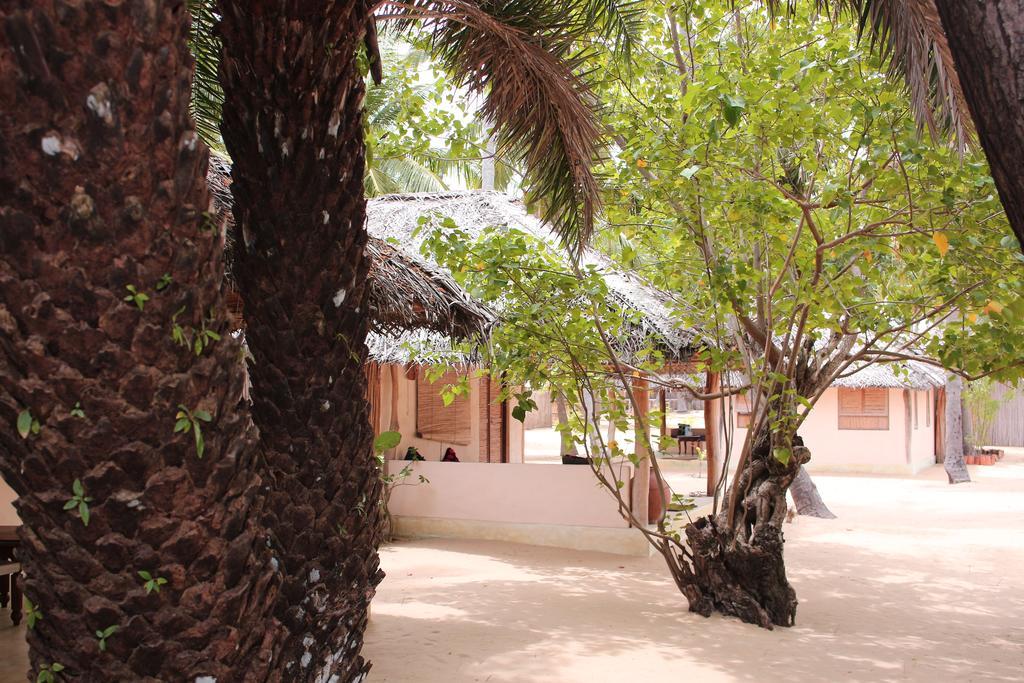 Cocodance Kitesurfing Resort Kalpitiya Exterior foto