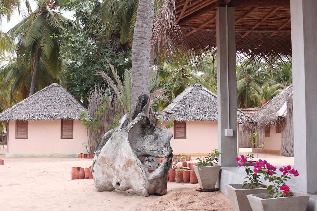 Cocodance Kitesurfing Resort Kalpitiya Exterior foto